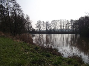 Smaller Pond near Kirlkington