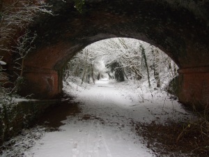 Winter on the Southwell Trail